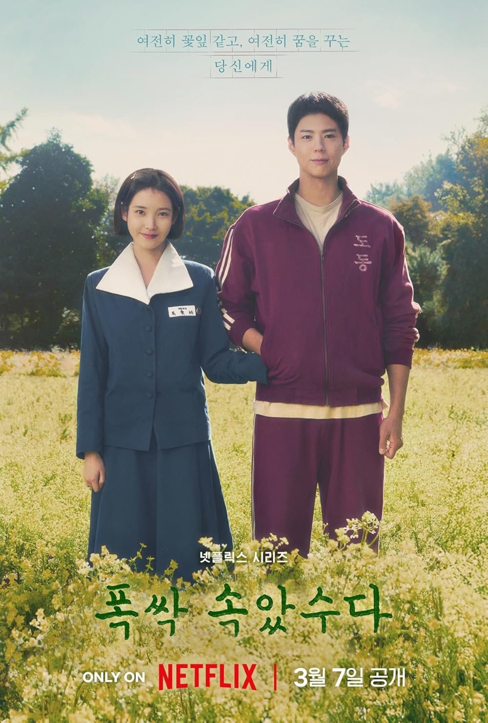 [예고편] 폭싹 속았수다 넷플릭스 3월 공개 예정 아이유 박보검 드라마
