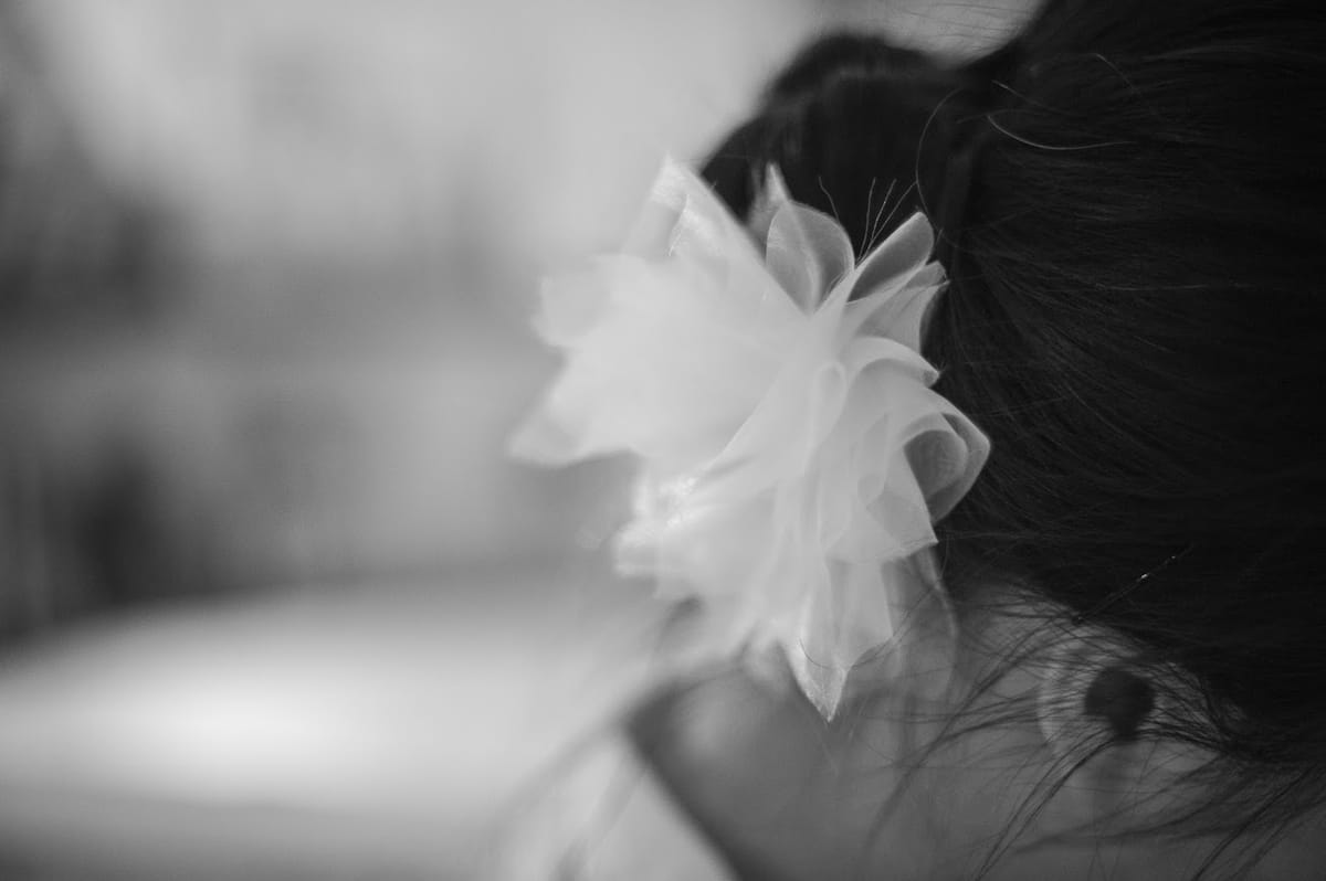 Bloom; 꽃피다